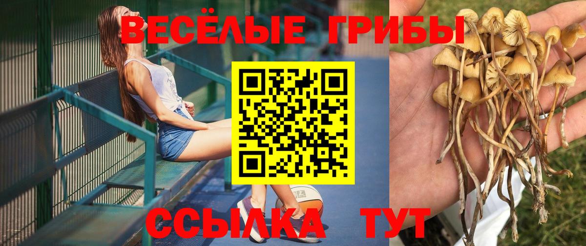 Псилоцибиновые грибы ЛСД Аша
