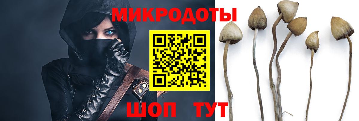 Аша  Галлюциногенные грибы Cubensis  Вход с VPN 